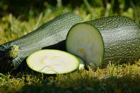 500+ Free Zucchini & Vegetables Images - Pixabay