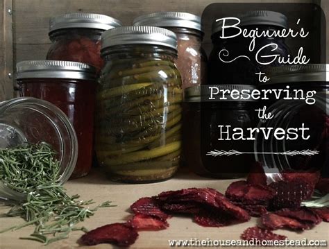 Best real food recipes to preserve abundant garden harvest?