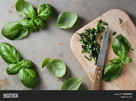 Freshly Chopped Basil Image &amp; Photo (Free Trial) | Bigstock