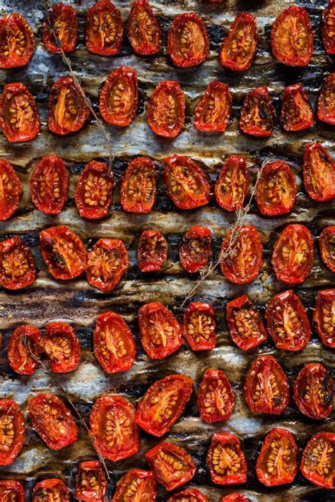 Sun Dried Tomatoes on a Tray Stock Photo - Image of baked, appetizer ...