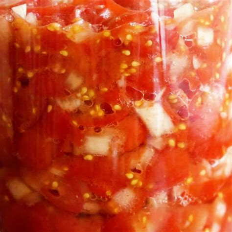 Fermented Tomato Salsa | Wandercooks