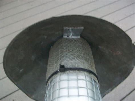 ~Wolfish Words~: Building the root cellar