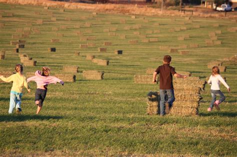 Farm Life - home is where my story begins...