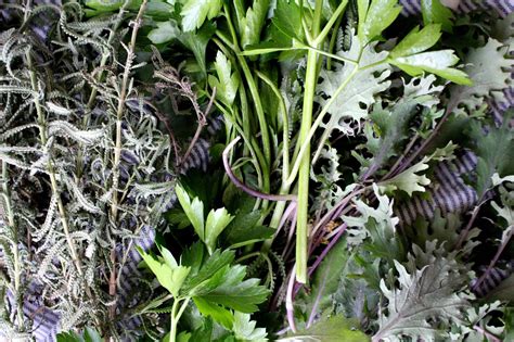 Preserving Your Garden » Homesong