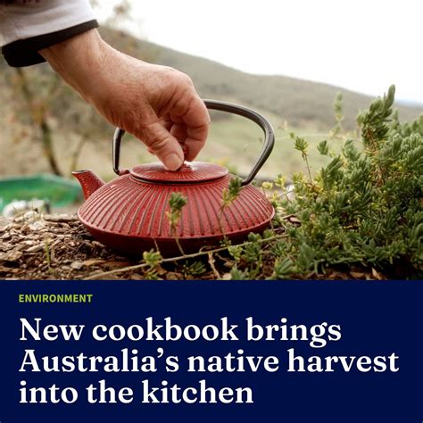 What actionable BTS ideas genuinely reveal homemade food & country life authenticity?