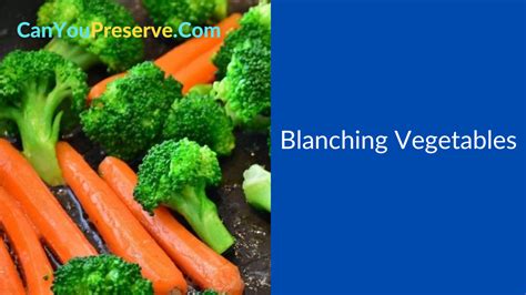 Mastering the Art of Blanching Vegetables: A Guide to Perfectly ...