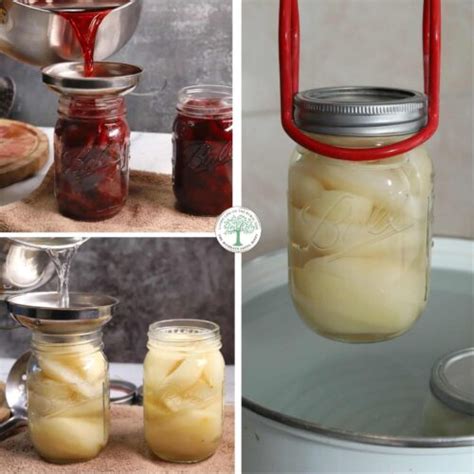 The Ultimate Water Bath Canning Guide for Newbies