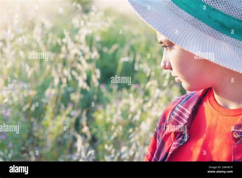 child in the field observing the vegetation Stock Photo - Alamy