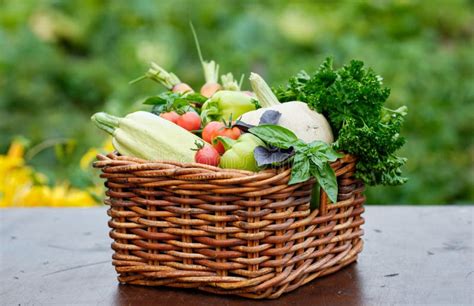 Basket Full Of Harvest Organic Vegetables And Root In The Garden Stock ...