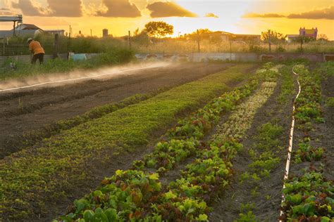 A Moment On The Farm - IWMF