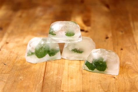 Freezing Fresh Herbs : 5 Steps (with Pictures) - Instructables