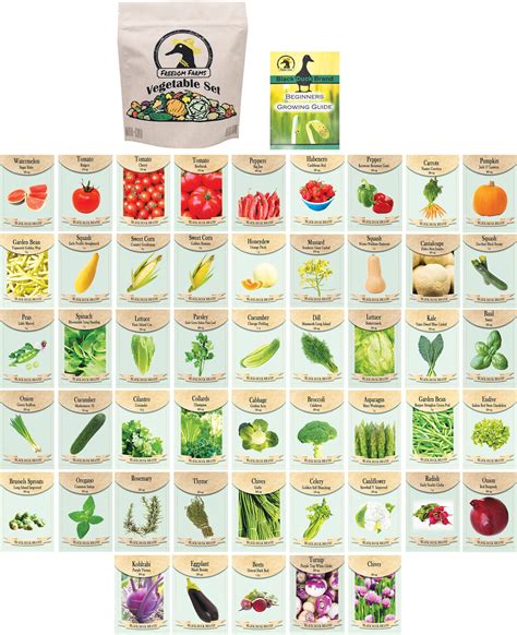 50 Packs Assorted Heirloom Vegetable Seeds 30+ Varieties All Seeds Are ...