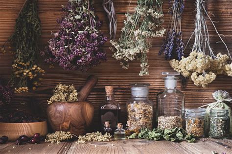 Dried Herbs Pictures | Download Free Images on Unsplash