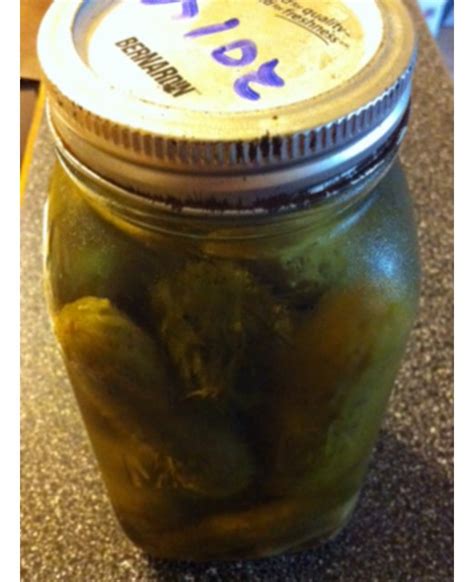 Easy Crunchy Dill Pickles Recipe - Sylvia's Kitchen Sync