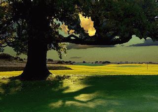 How do we involve kids in garden-to-table meals and daily homestead chores?