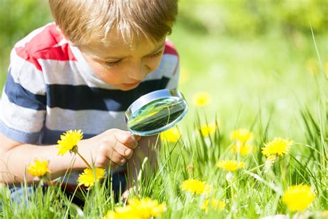 Child exploring nature - The Peaceful Parent Institute - Genevieve ...