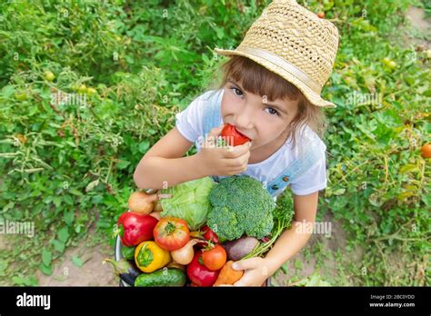Child in the garden with vegetables in his hands. Selective focus ...