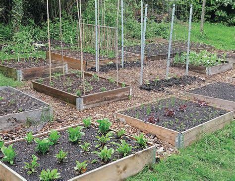 BEDS ON A BUDGET | Kitchen Garden - gardening - Read this story on ...