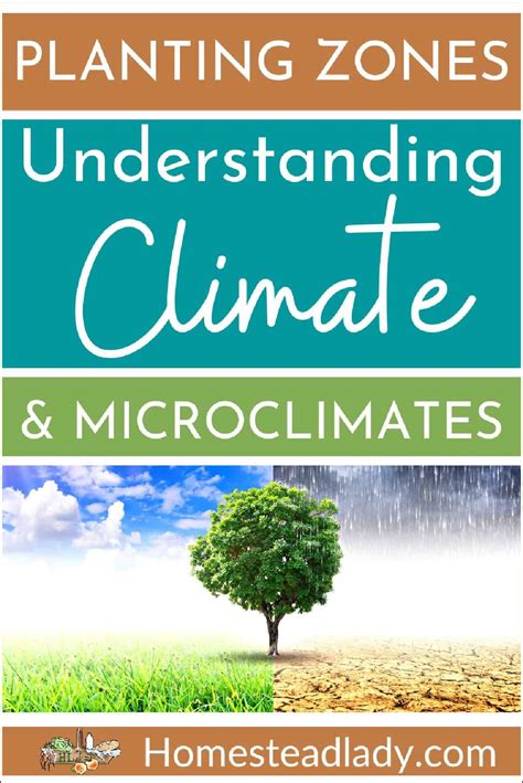 Planting Zones: Understanding Climate and Microclimates • Homestead Lady