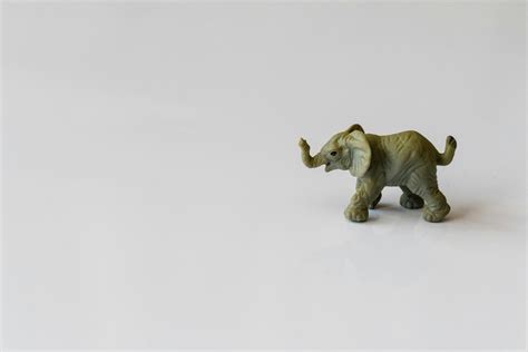 Small Photos, Download The BEST Free Small Stock Photos & HD Images