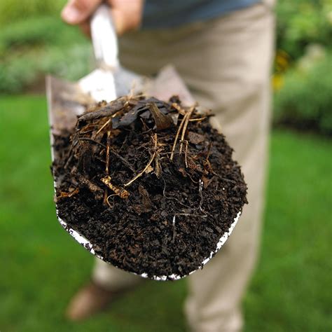 How to Compost for Beginners: 4 Simple Steps