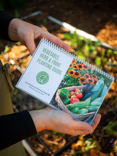 Continuous Harvesting Made Easy: Cut and Come Again Method - Growing In ...