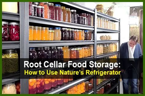 Root Cellar Food Storage: How to Use Nature's Refrigerator