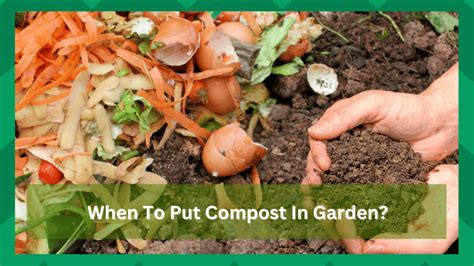 When To Put Compost On Garden: The Perfect Timing - Farmer Grows