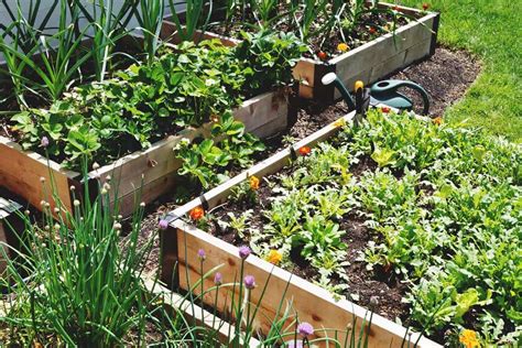 8 Important Tips to Improve Drainage in Your Raised Beds