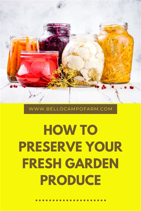 How to Preserve Your Fresh Garden Produce - Bello Campo Farm