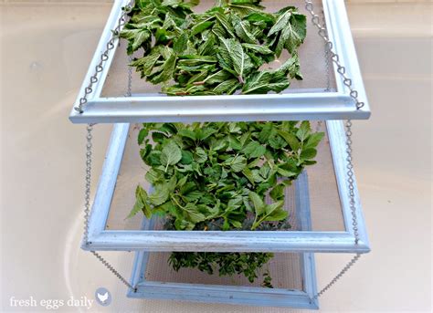 DIY Tiered Herb Drying Rack Using Repurposed Picture Frames - Fresh ...