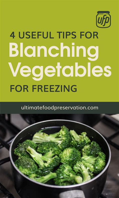 4 Useful Tips for Blanching Vegetables for Freezing | UFP
