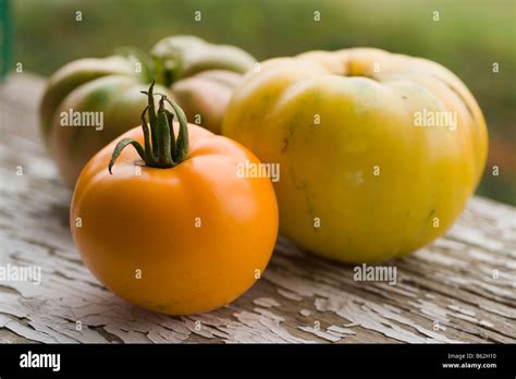 ripe heirloom tomatoes Stock Photo - Alamy
