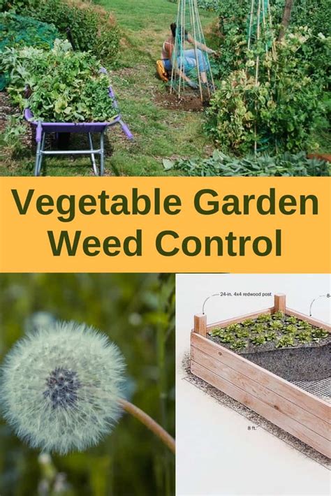 Easiest natural weed control for a vegetable garden?