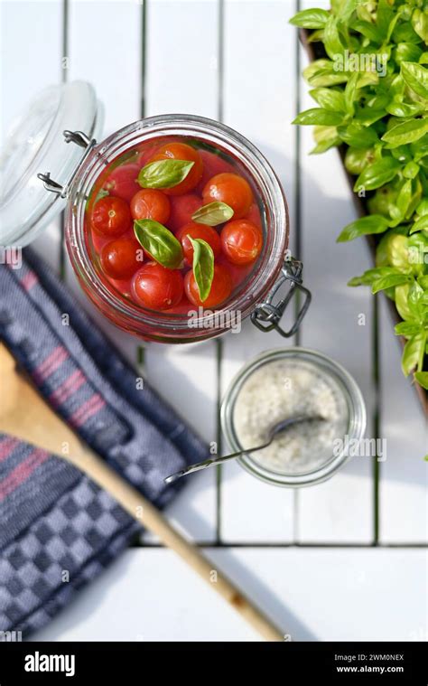 Preserved tomatoes in jar with basil leaves Stock Photo - Alamy