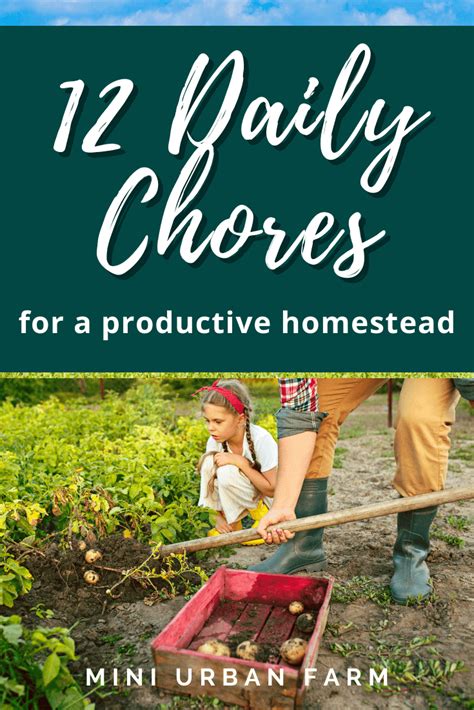 12 Daily Homestead Tasks Every Homesteader Needs - Mini Urban Farm