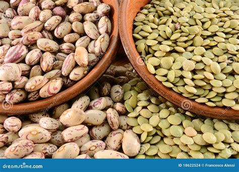 Dried lentils and beans stock photo. Image of seed, healthy - 18622524