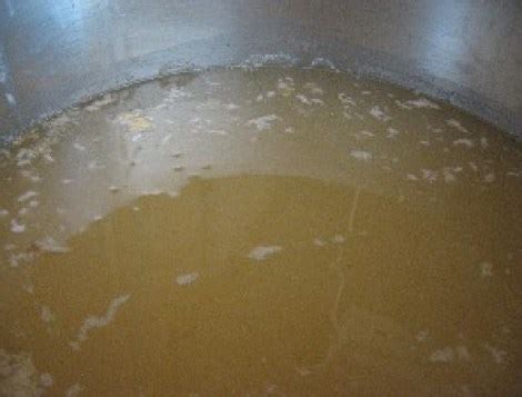 Rendering Lard: A First Time Guide | Lehman&#039;s Country Life Blog