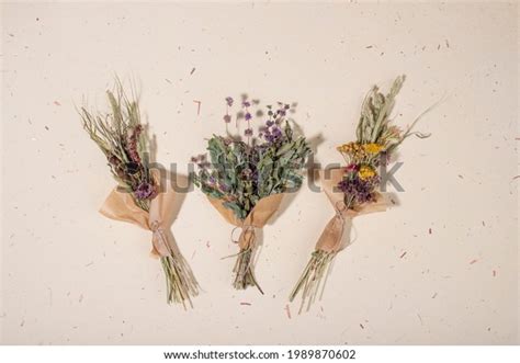 Dried Herb Bundles Different Herbs On Stock Photo 1989870602 | Shutterstock