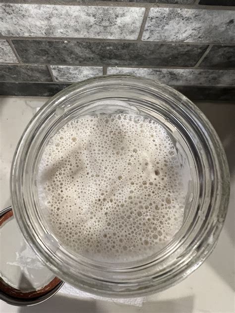 What's the Best Sourdough Starter Jar? - Cedar Homestead