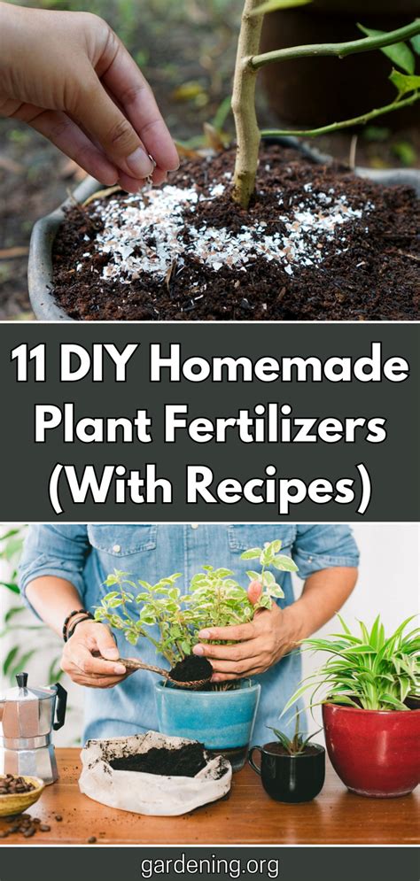 Diy plant fertilizer homemade – Artofit