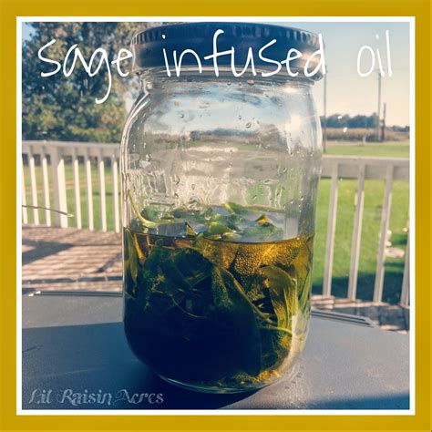 Lil Raisin Acres: HERBAL MEDICINE: Herb Infused Oils