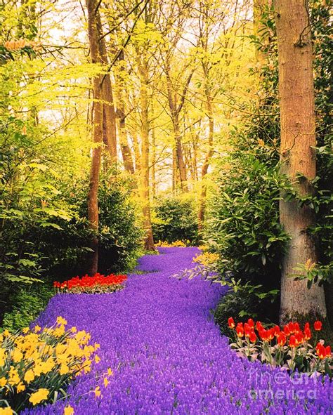 Peace, Like a River Photograph by Cindy Schneider - Pixels