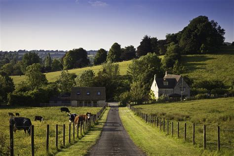 Rural Area Self-Employment Rates | Farm Landscape with Grazing Cows