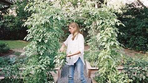 Behind the Scenes of Growing My Garden Consulting Business • Gardenary