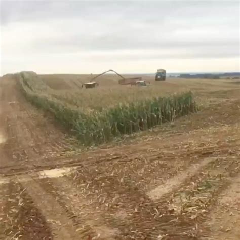 Good Harvest : r/Unexpected