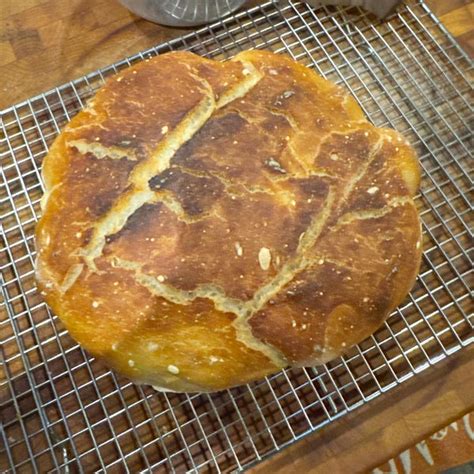 Charleston, SC Bubbly Sourdough Starter | Bubbly Active Starter ...