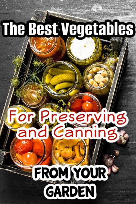 Safest home canning for low-acid garden veggies?