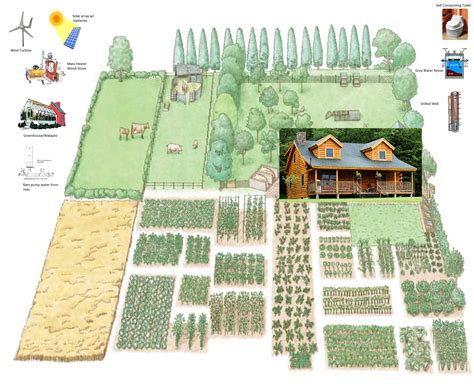 Create Your Own Self-Sustainable Homestead