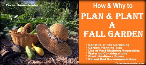 How to extend your organic garden harvest into fall naturally?